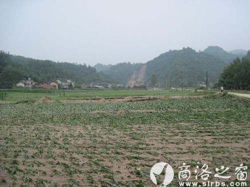 農作物受災920公頃，其中：絕收210公頃，水毀河堤72公里、耕地210公頃，灌渠24公里，自來水管線180公里。圖為趙