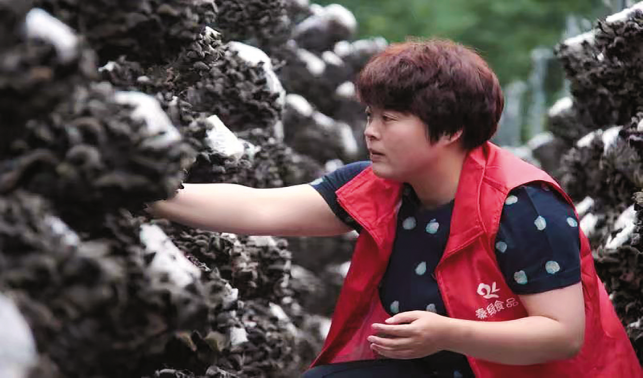 興農路上的“新農人”