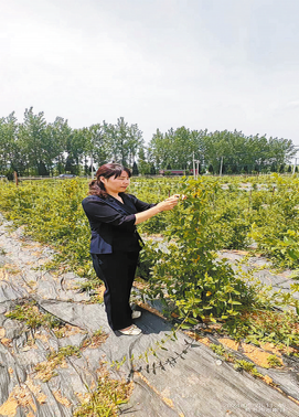 主動擔當作為 助力區域特色產業發展