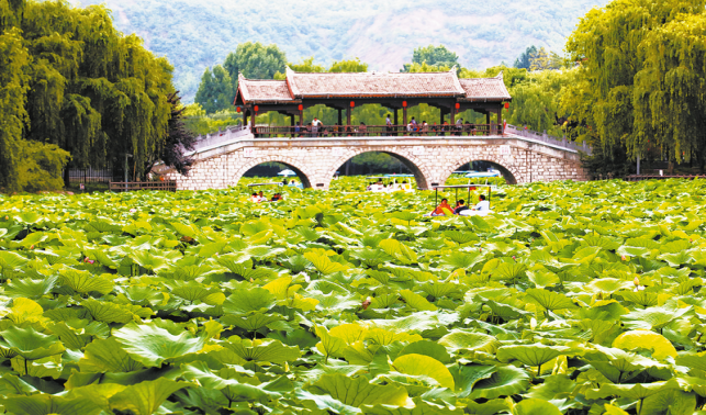 好山好水好氣候 商洛如何借“綠”生“金”？