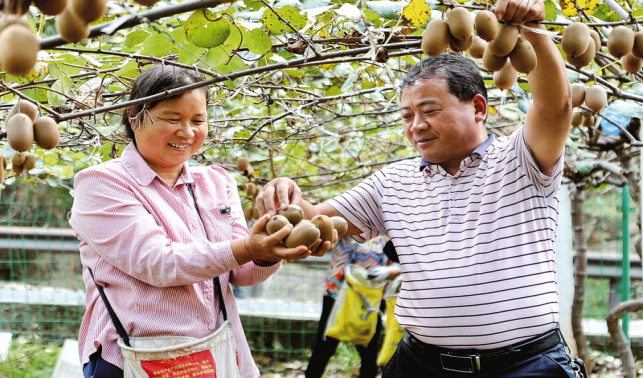 產業特色鮮明 增收底氣更足