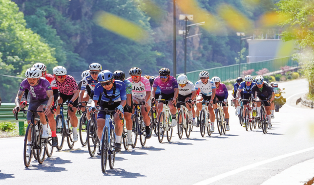 騎行秦嶺腹地 邂逅靈秀柞水