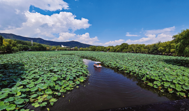 從好風景到好“錢”景