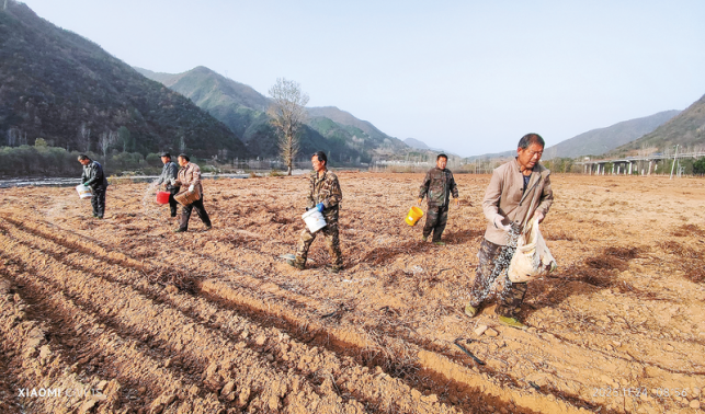 政策惠農(nóng)聚力 糧田煥發(fā)新機(jī)