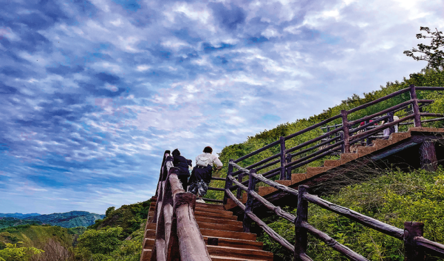 “三鏈融合”繪新景