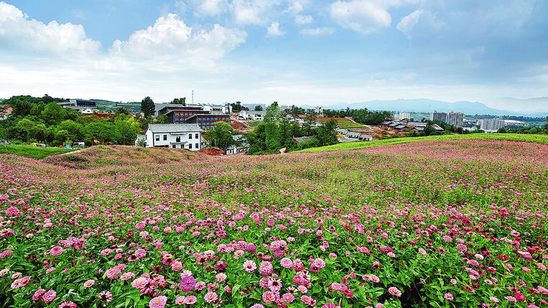 攻堅克難補短板 開拓創(chuàng)新促趕超