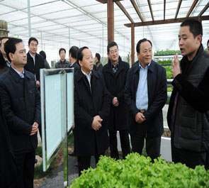 洛南：全力實施四大計劃奮力做強四大區塊