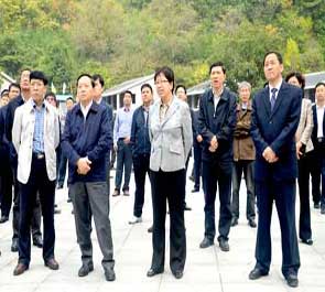 柞水: 項目拉動大發展  推進跨越建強縣