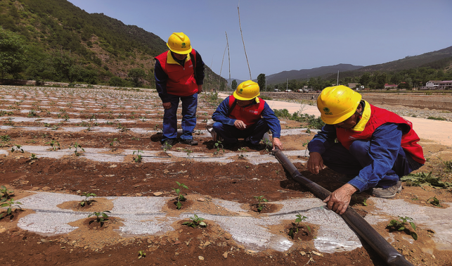 抗旱保供顯擔(dān)當(dāng)