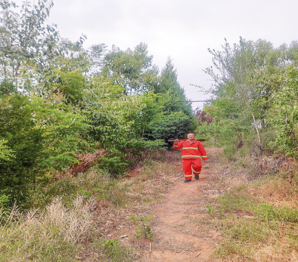 用赤子之心呵護(hù)綠意