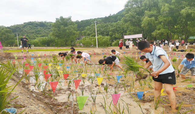 “稻香田園?樂享農耕”插秧大賽在閆坪村舉辦