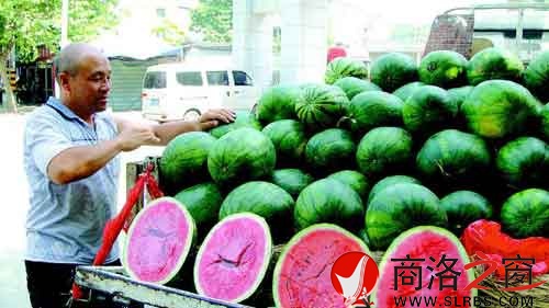 謝小榮把一車的西瓜整理好,準(zhǔn)備開業(yè)。