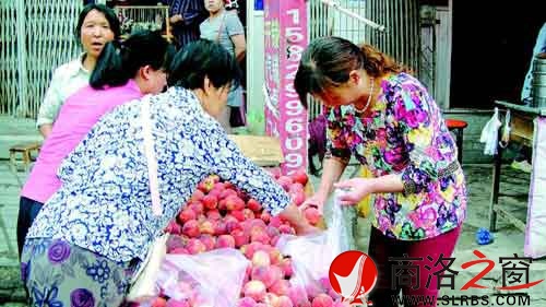 隨處流動的小商販也不乏購買者。