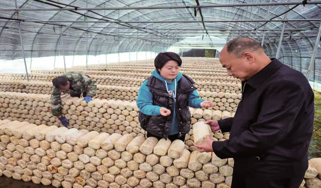 “努力做好產(chǎn)業(yè)升級，帶動(dòng)更多群眾增收”