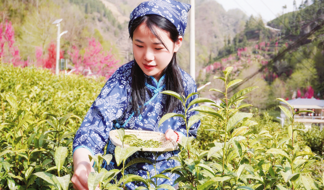 “我想為家鄉發展盡一份力”