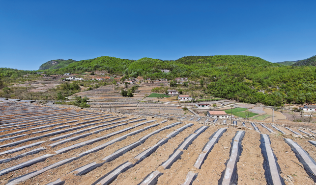 米糧鎮煙田起壟覆膜忙