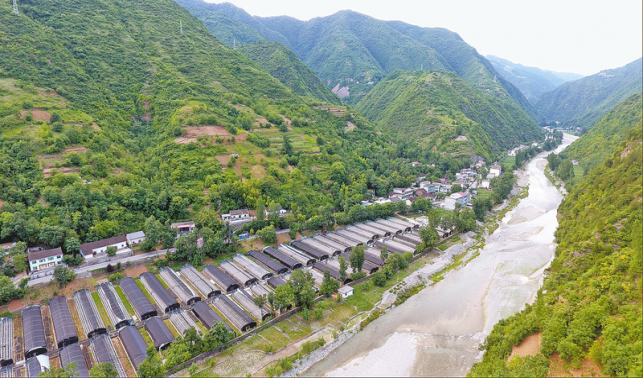 杏坪鎮 繪就和美新畫卷